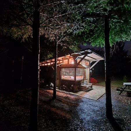 Brisas Del Llaima Villa Melipeuco Exteriör bild