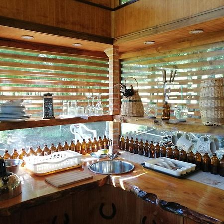 Brisas Del Llaima Villa Melipeuco Exteriör bild