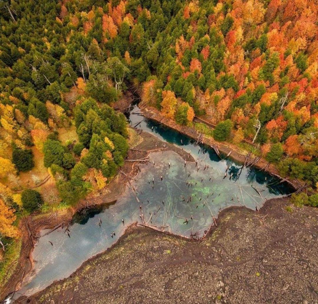 Brisas Del Llaima Villa Melipeuco Exteriör bild