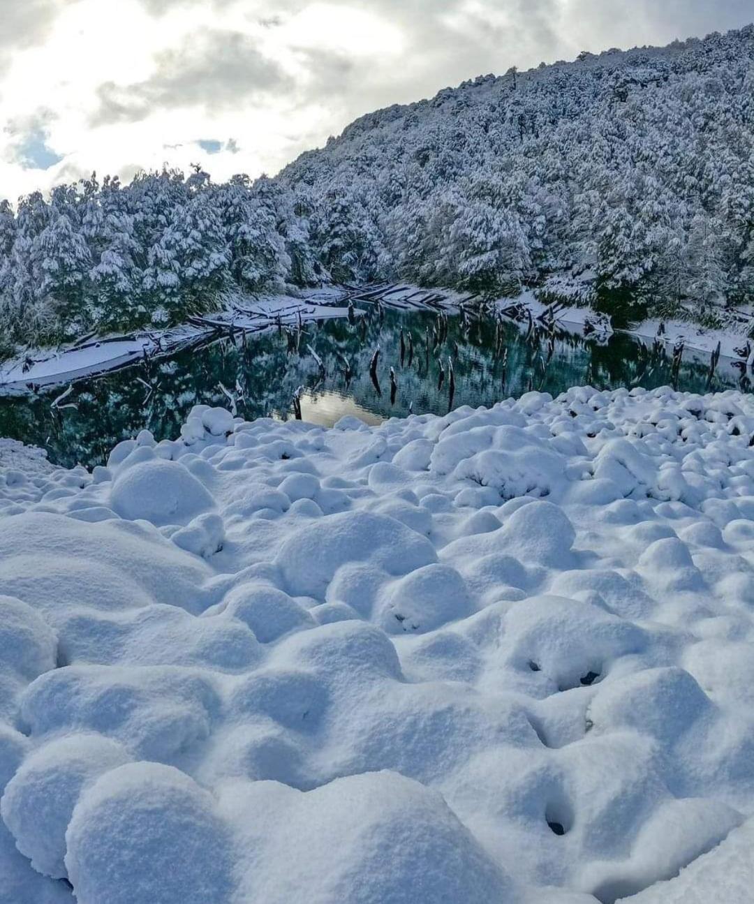 Brisas Del Llaima Villa Melipeuco Exteriör bild
