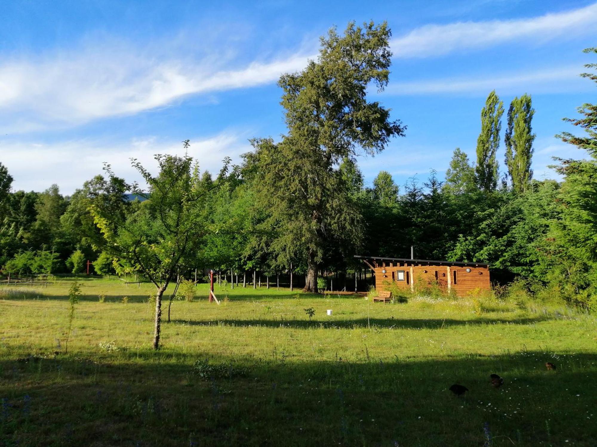 Brisas Del Llaima Villa Melipeuco Exteriör bild