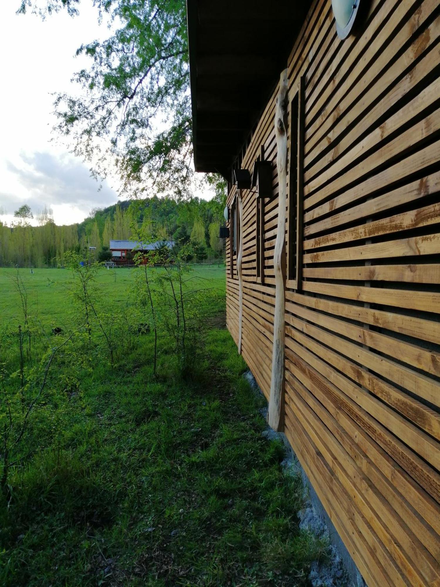 Brisas Del Llaima Villa Melipeuco Exteriör bild